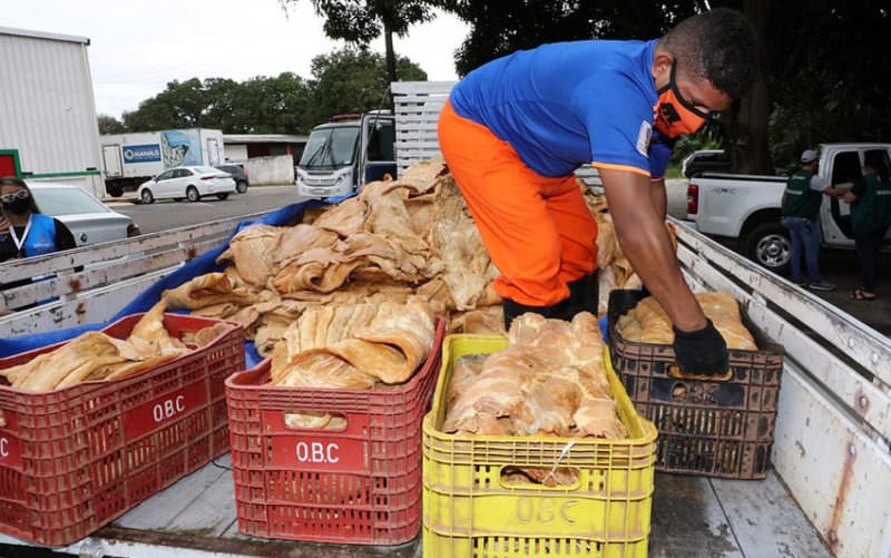 Doação de 3 toneladas de pirarucu foram destinadas a cinco entidades em Manaus
