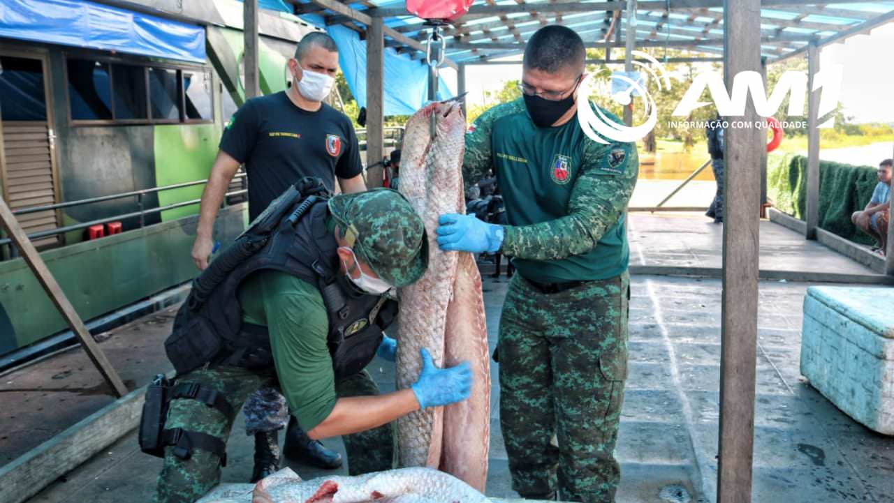 Mais de meia tonelada de pirarucu ilegal é apreendida pela Base Arpão