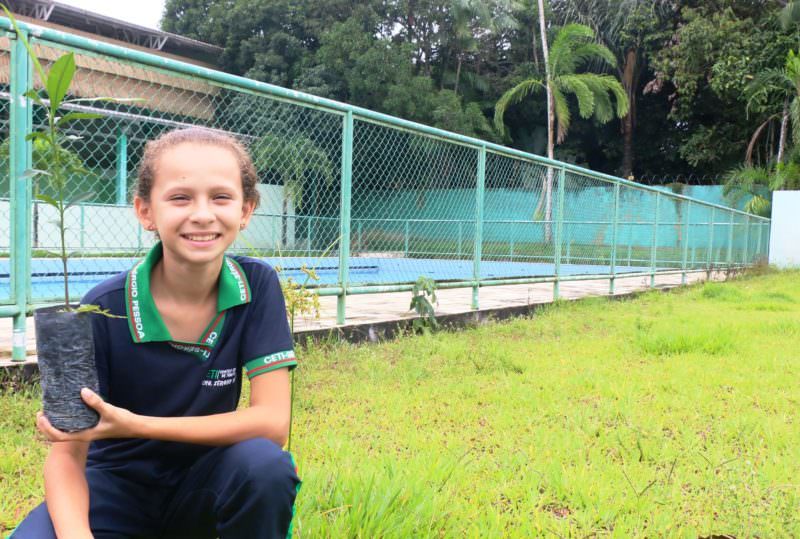 semana do meio ambiente