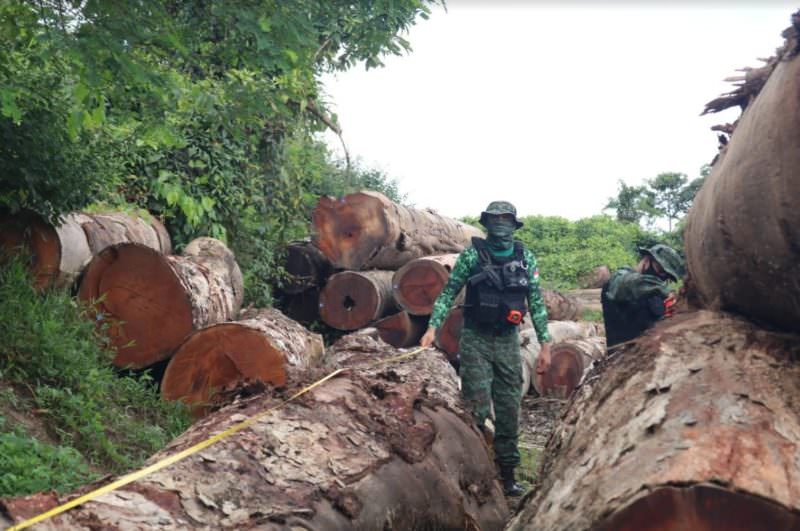 Operação embarga 2 mil hectares em propriedades com desmatamento ilegal