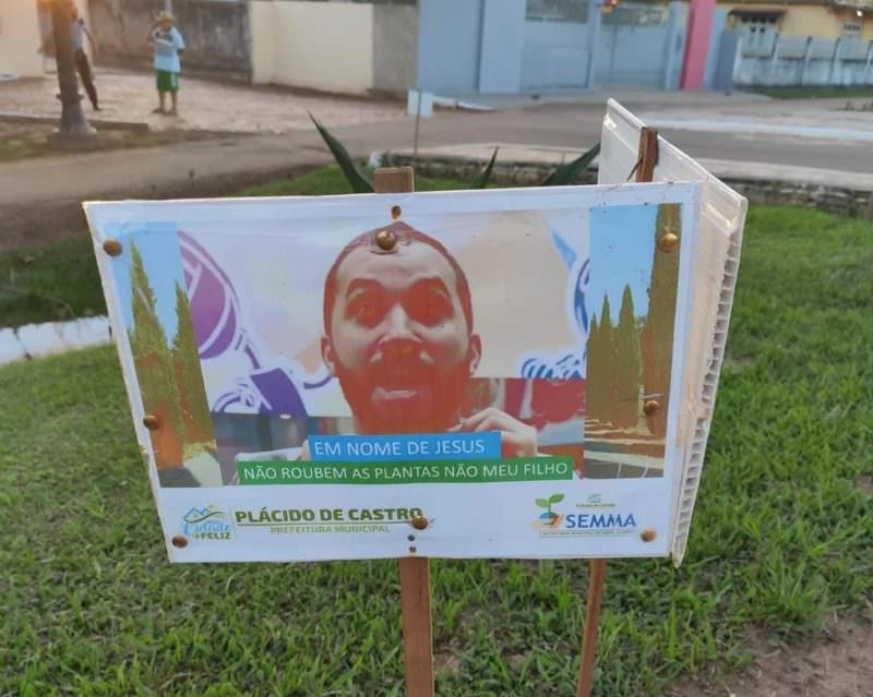 Prefeitura usa meme do ex-bbb Gil do Vigor para alertar população sobre furto de plantas