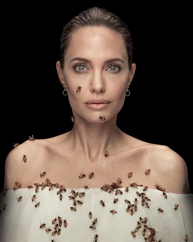 Angelina Jolie faz ensaio fotográfico coberta por abelhas