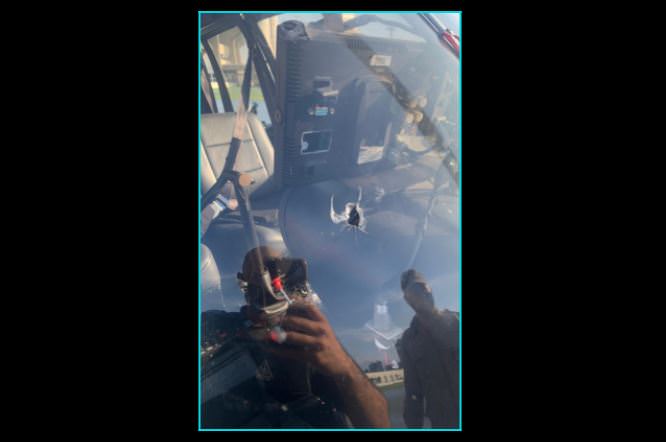 piloto