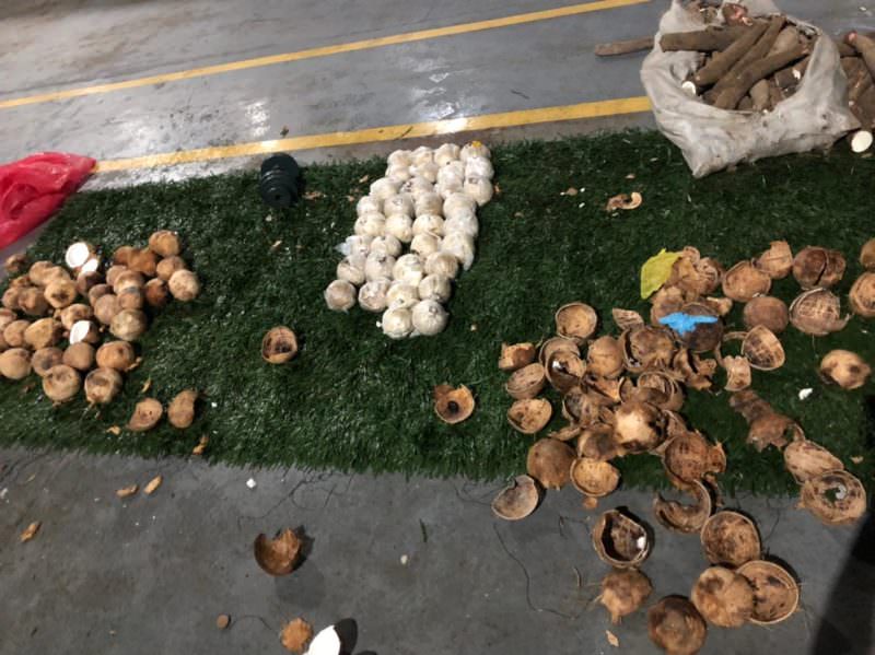 Agentes da Base Arpão apreenderam 19 quilos de drogas escondidos em cocos