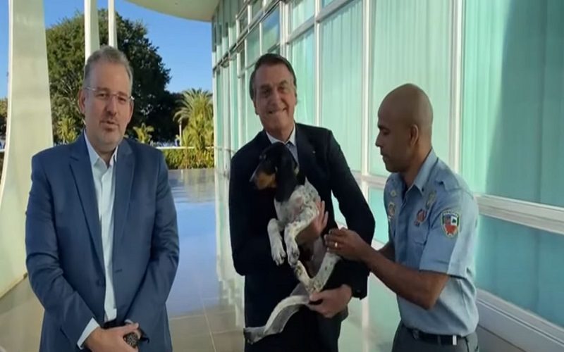 Bolsonaro recebe cão 'Rastreador Brasileiro' de militar do Amazonas