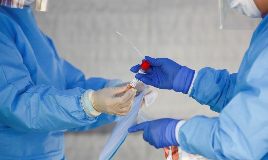 Novo coronavírus infecta e se replica em glândulas salivares