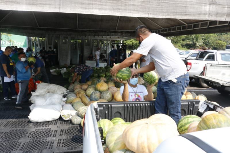 Mais de 20 toneladas de alimentos são entregues a entidades sociais