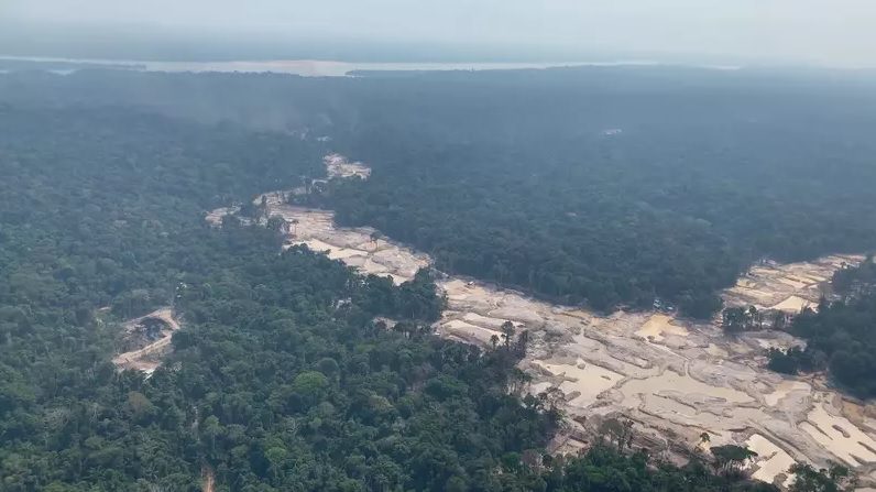 Em 2021, Amazônia Legal registra pior acumulado de desmatamento em 5 anos