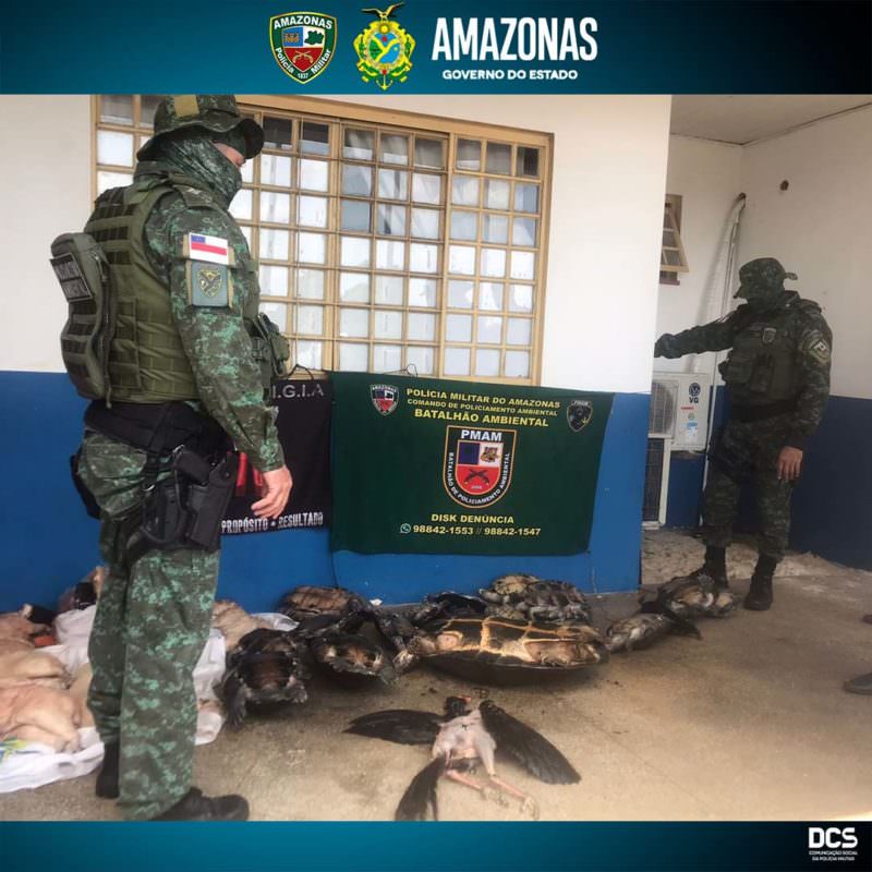 Polícia Militar apreende carnes ilegais de animais silvestre em Manacapuru