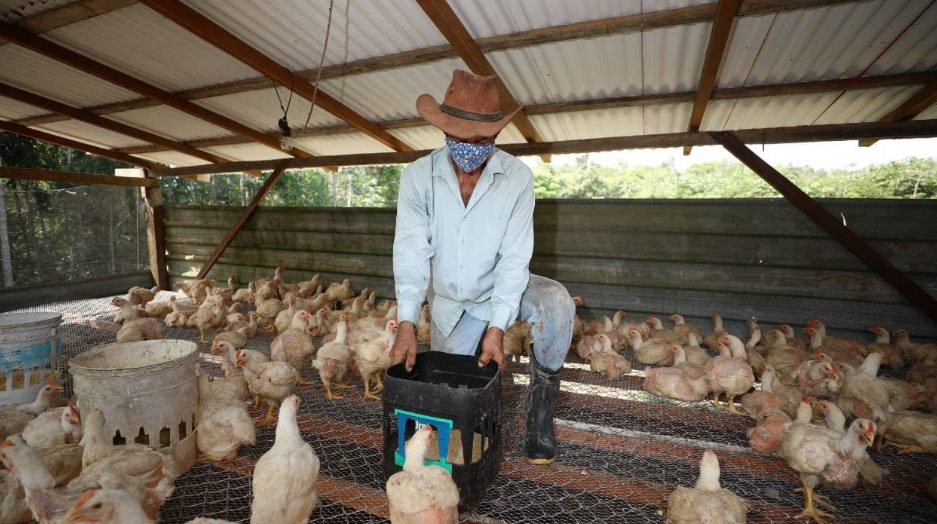 Reforma da rodovia vai dar maior vazão a produtos agrícolas