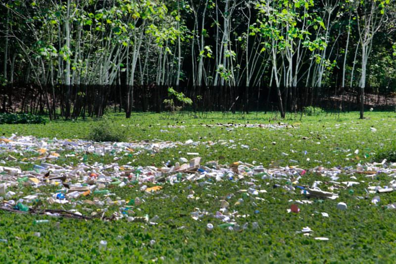 Igarapé do Tarumã acumula lixo há 30 anos e deixa de ser espaço de lazer