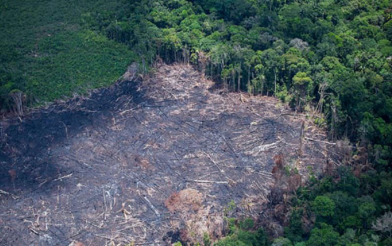 Municípios da Amazônia que mais desmatam têm piores condições de vida