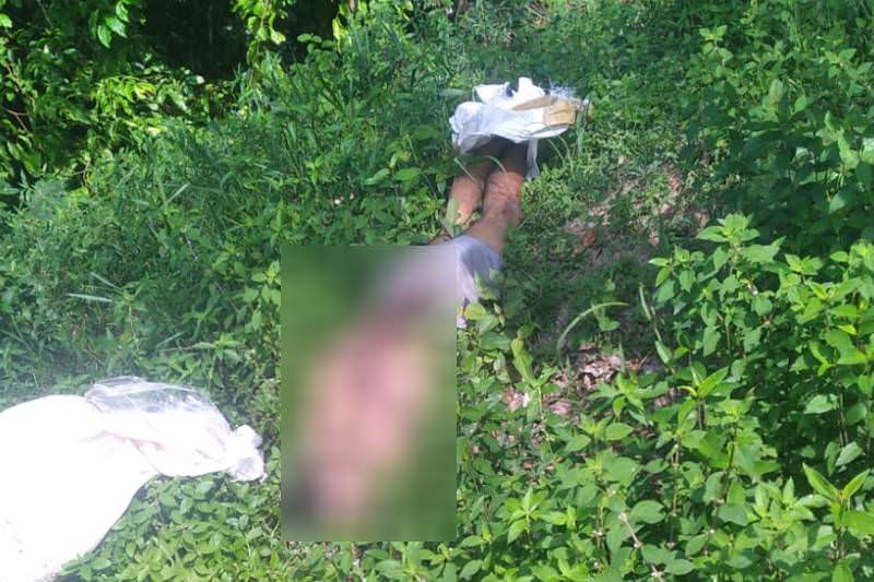 Assassinos esmagam a cabeça da vítima na zona Norte de Manaus