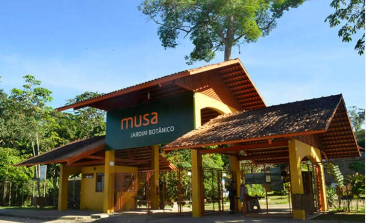 Homem arromba grade de museu e assalta visitantes em Manaus