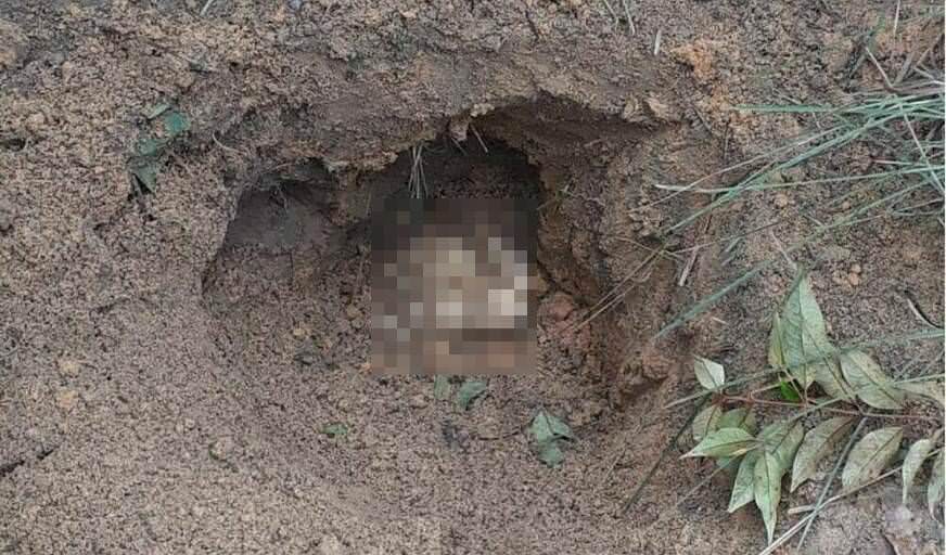 Trabalhadores encontram corpo enterrado de cabeça para baixo em cova em Manaus