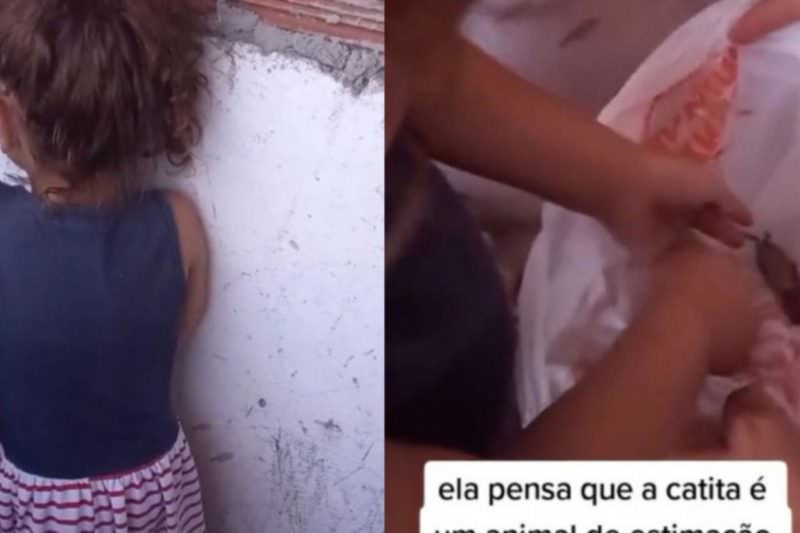 Vídeo: criança viraliza ao tentar proteger 'catita' morta