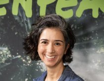 GREENPEACE BRASIL