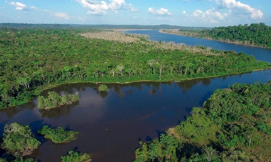 ‘Poderíamos atrair investimentos para a região de maneira a manter a floresta em pé’, diz  diretora do Greenpeace