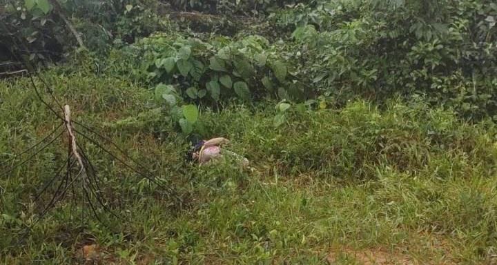 Pai de traficante é encontrado morto em matagal em Iranduba