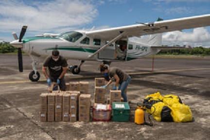GREENPEACE BRASIL