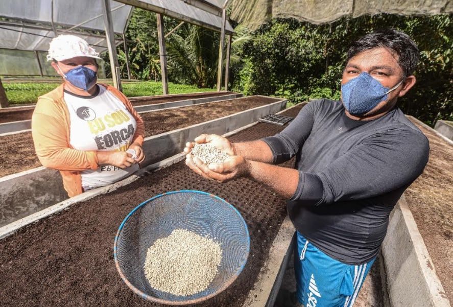 IBGE aponta que Amazonas deve aumentar safra agrícola em 2022