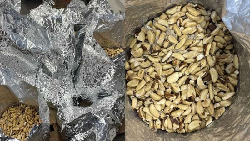 Mais de 50kg de castanha com maconha são encontrados em malas no Aeroporto de Manaus