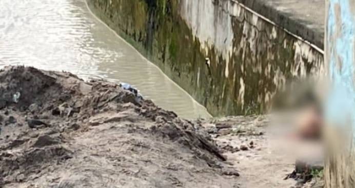 cabeça decepada