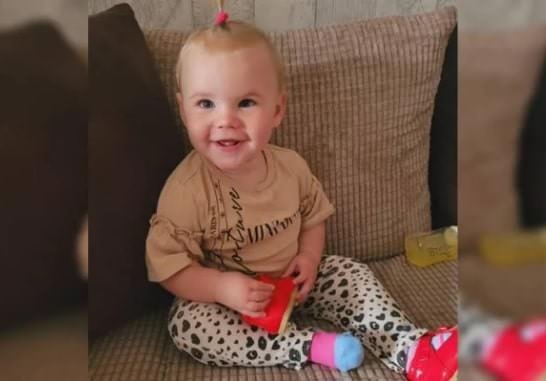 Pitbull mata bebê de 17 meses, uma semana após se juntar à família