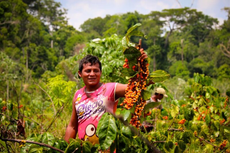 Regularização fundiária recebe R$ 132 milhões na Amazônia