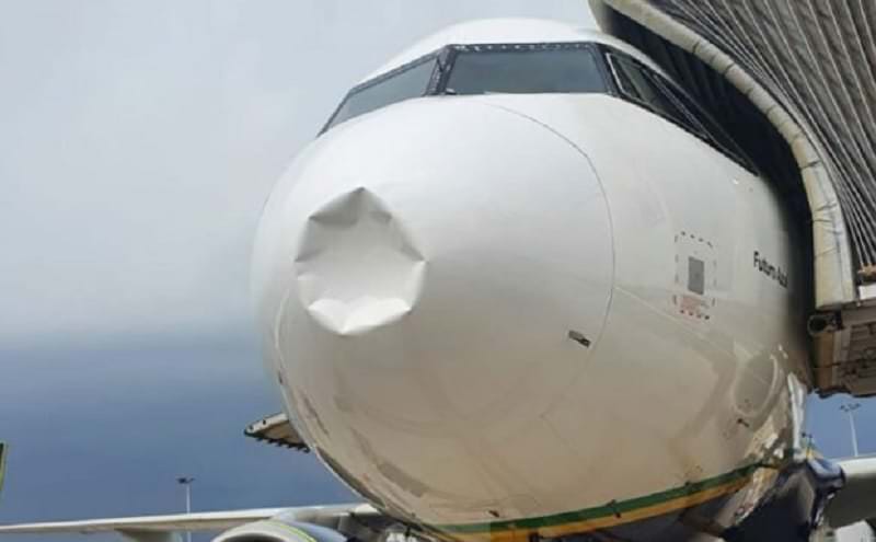 Vídeo: avião atinge pássaro e fica com 'nariz amassado'