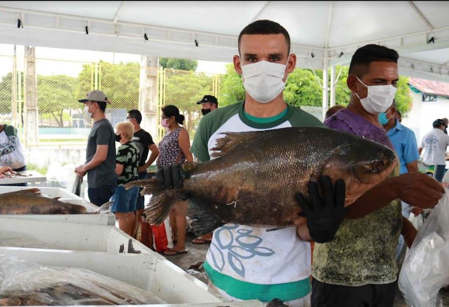 Governo do Estado realiza Feirão do Pescado com  peixes a partir de R$ 8,90 o quilo