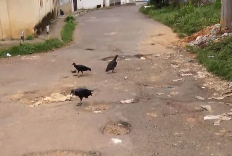 Moradores do Santo Antônio jogam cascalho nos buracos das ruas: ‘a prefeitura não veio arrumar’