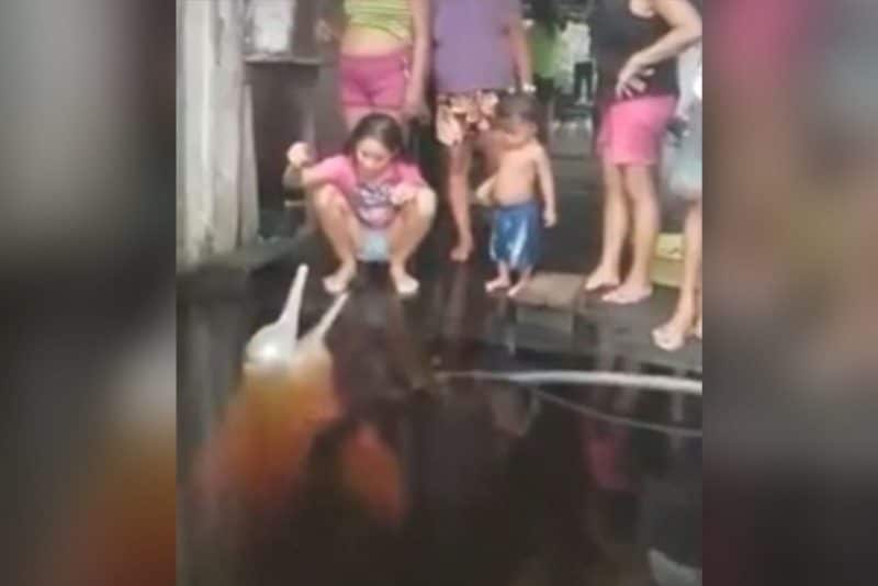 Vídeo: boto nada até a porta de casa e interage com crianças na cheia do Amazonas