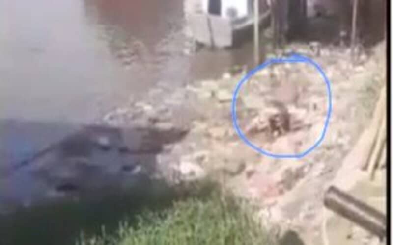 Mulher descobre traição e sai na porrada com ‘amiga’ dentro de rio poluído; vídeo