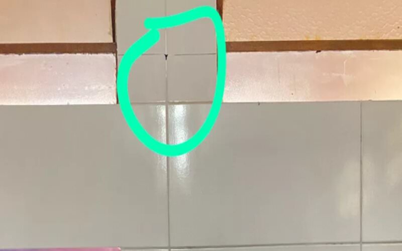Estudantes encontram câmeras ocultas instaladas entre azulejos de banheiros em escola