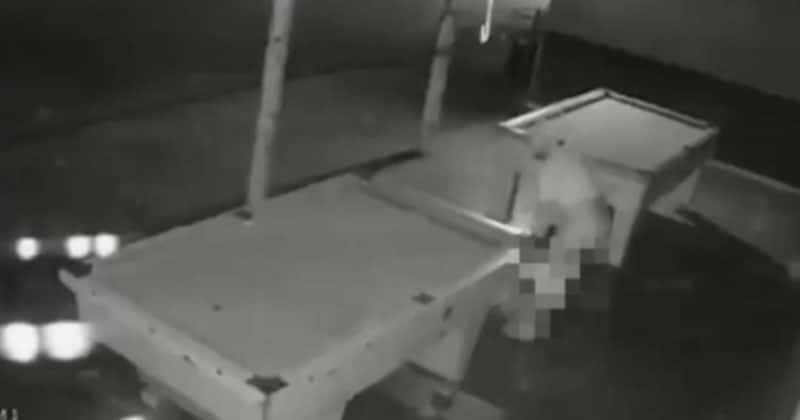 Vídeo: homem defeca no bar, espalha fezes na mesa de sinuca e ganha apelido de 'cagão do bairro da Paz'