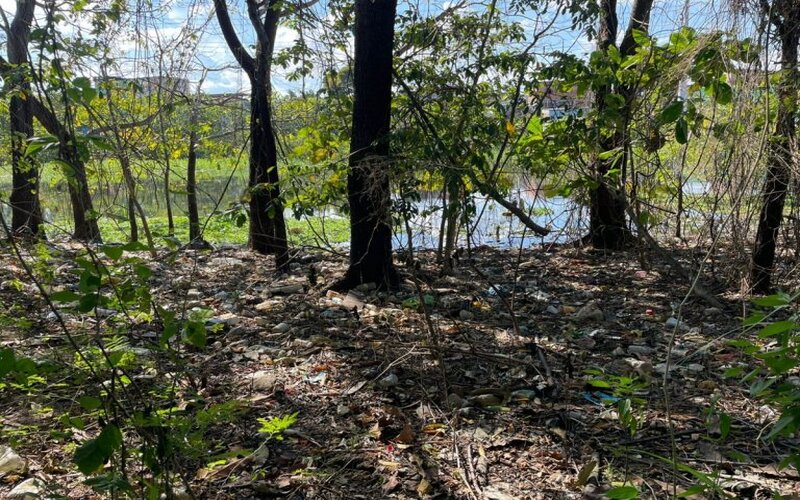 Agentes de limpeza encontram cabeça, mas não acham sinal do corpo em igarapé de Manaus