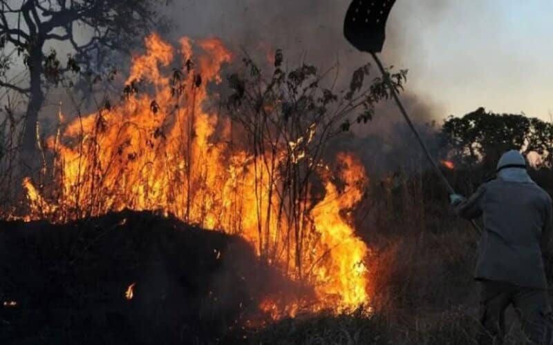Força Nacional combaterá incêndios florestais e queimadas no Amazonas