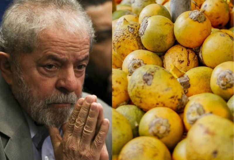 Bolsonaristas do AM desmentem que estejam pensando em jogar tucumã em Lula