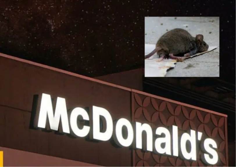 Mulher é mordida por rato enquanto lanchava em unidade do McDonald's