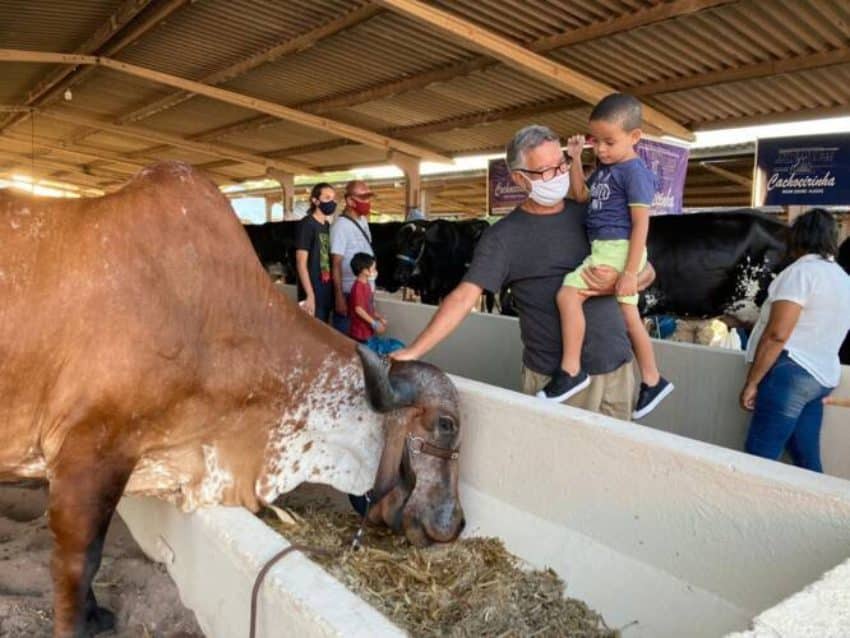 Expoagro: Amazonas realiza a 44ª Exposição Agropecuária