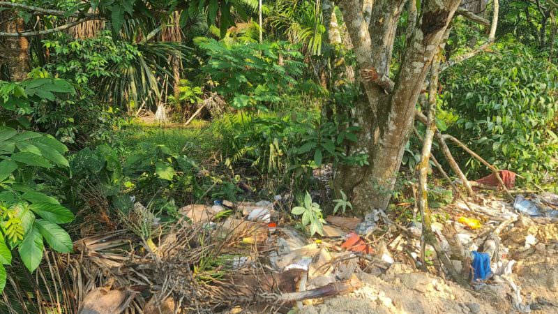 Corpo de mulher é encontrado carbonizado em Manaus