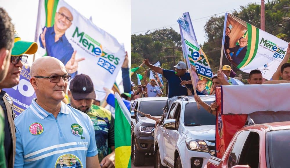 menezes -importância do setor primário