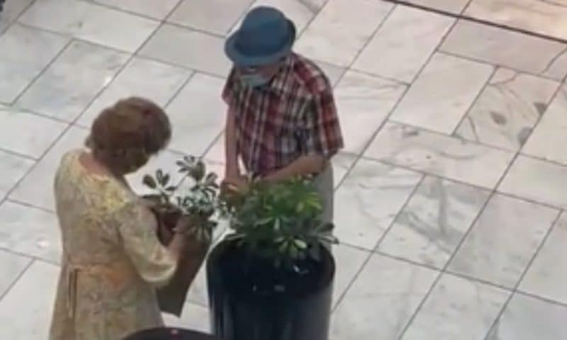 Casal de idosos rouba vaso de planta sem se importar com câmeras de segurança; veja vídeo