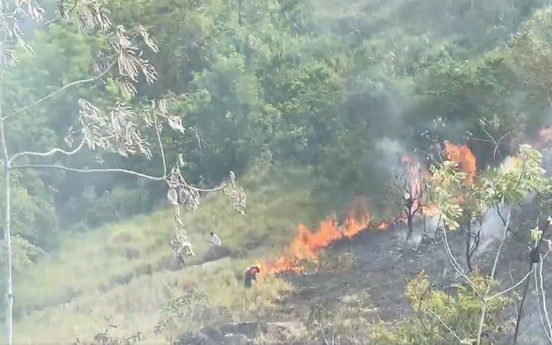 Incêndio: região de mata em Manaus pega fogo e chamas se espalham na zona leste: vídeos