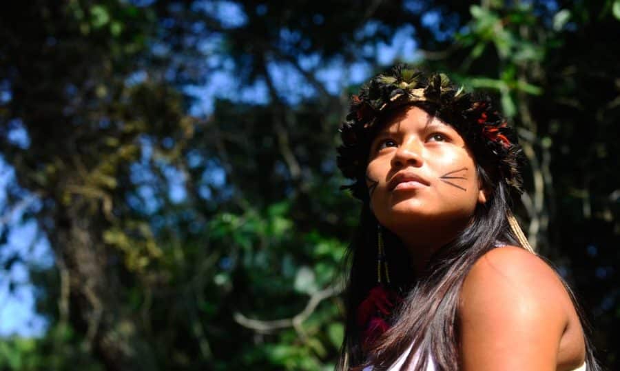 Dia da Amazônia será celebrado com eventos gratuitos em oito cidades do país