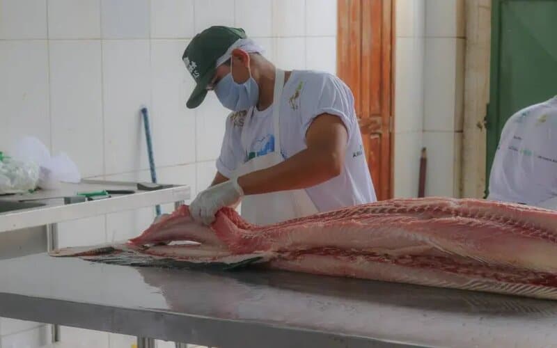 Feira do Pirarucu oferta cinco toneladas de peixe em Manaus