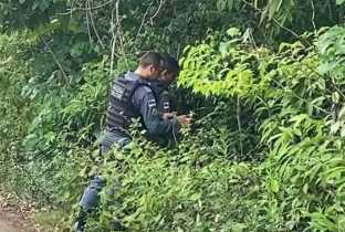 Casal encontra feto sendo devorado por urubus, em área de mata, na AM-010