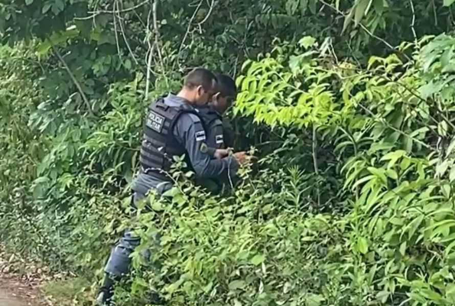 Casal encontra feto sendo devorado por urubus, em área de mata, na AM-010