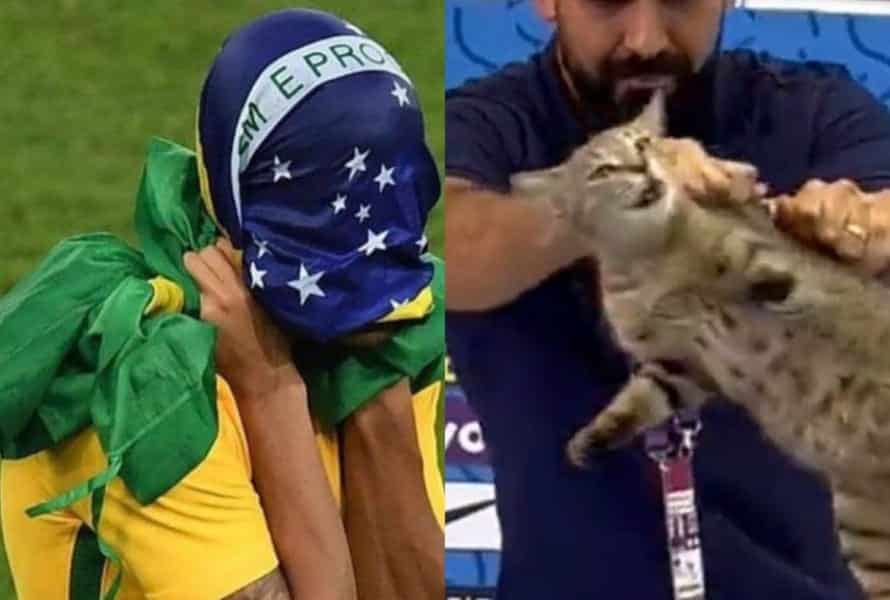 Maldição do gato, roubo do juiz veja memes sobre a derrota da seleção